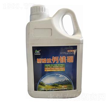 �Ǵ����}�V�� һ������