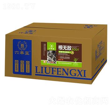 ������������-���S�t