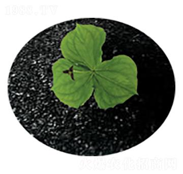 ��ֲ���-�Gɫ��@