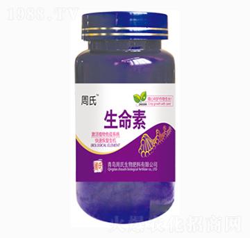 ������-�����r(n��ng)��