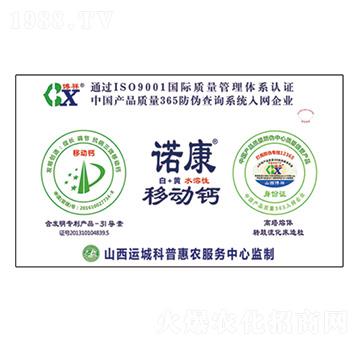 �Z���Ƅ��}-��������