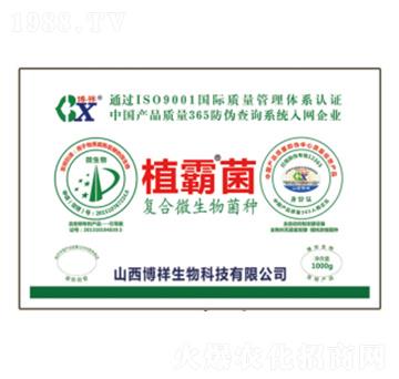 �ͺ�΢������N-ֲ�Ծ�-��������