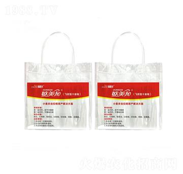 �˹ʮ���� ��ӯ