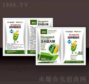 ���׳����+���\�ֿs�`