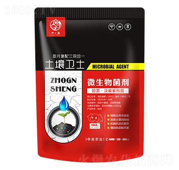 ���ġ��������߾�-�����l(w��i)ʿ-��ʥ�r(n��ng)�I(y��)