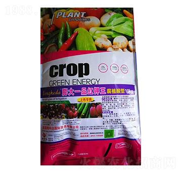 一品紅鉀王 隆科達