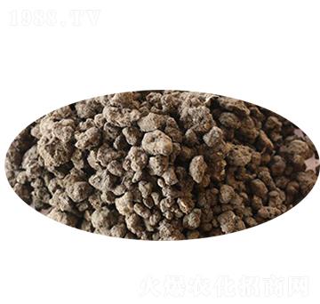 �w���l(f��)���u�S-������ʘI(y��)