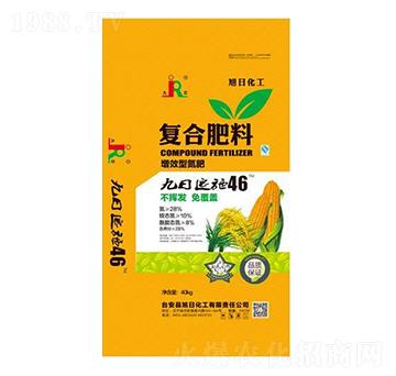 ��Ч�͏ͺϷ���-����-���ջ���