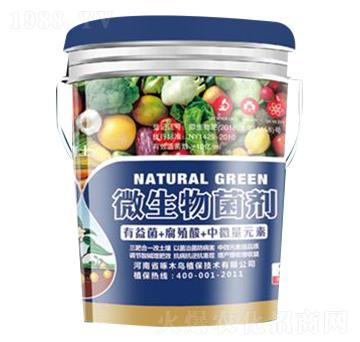 ΢�������-��ľ�B