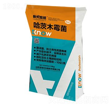 ����ľù��-�����-�{��ʯ