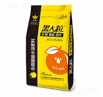 ����ֲ��ˮ�ܷ���10-2-25+HA-�ڴ���-��΢