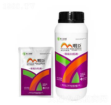 ΢�������-�����׽��x-����-�~�m�߿�