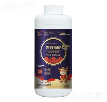 �۹Ȱ���΢�������-܎�@ţ