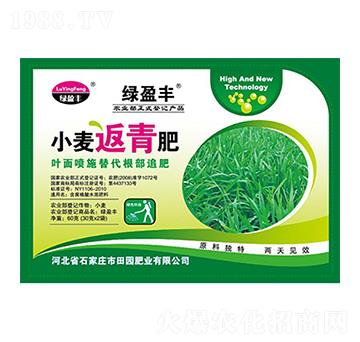 С�������-��@�ʘI(y��)