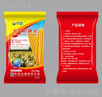 ����׷ʩ��-�Љ�