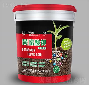 �������S�����-��������