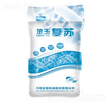 �����ЙC(j��)��-�����(f��)�K-������