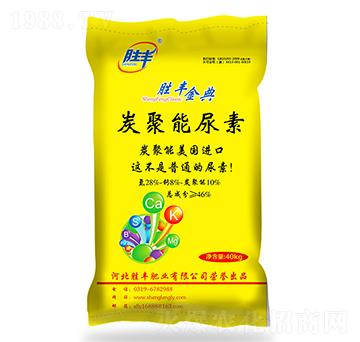 ̿��������-���S���-���S�ʘI(y��)