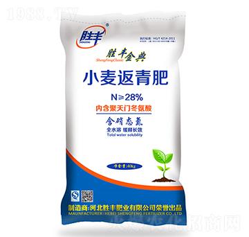 С�������-���S���-���S�ʘI(y��)