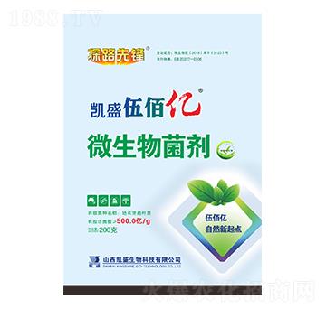 ΢�������-��ۃ|-�Pʢ�ʘI(y��)