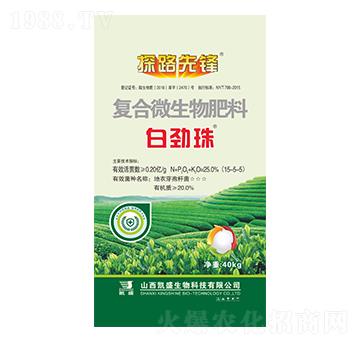 ���~����΢�������-�ׄ���-�Pʢ�ʘI(y��)