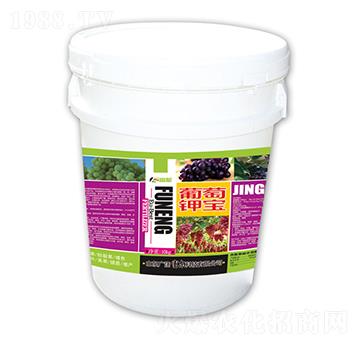 ����⛌�-�����Ƽ�