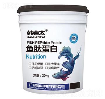 �~�ĵ���-�n��̫-�����Ƽ�