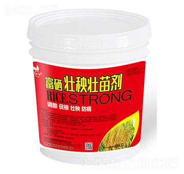 ����������焩-��˲