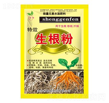 ��Ч������-��˲