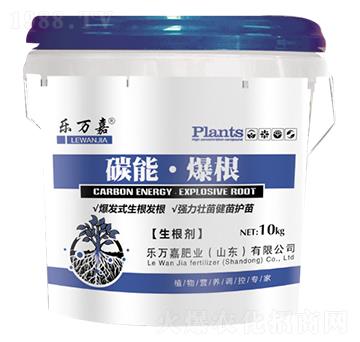 ������-̼�ܡ�����-���f��