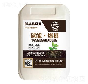 ̼�ܡ�����-���߇�(gu��)�r(n��ng)�I(y��)