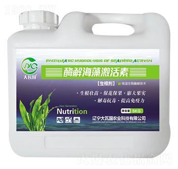 ø�⺣�弤����-���߇�(gu��)�r(n��ng)�I(y��)