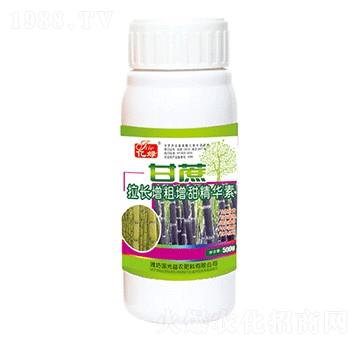 �������L���������A��-�������r