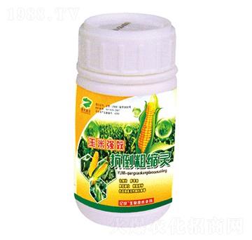 ���׿����ֿs�`-�������r(n��ng)