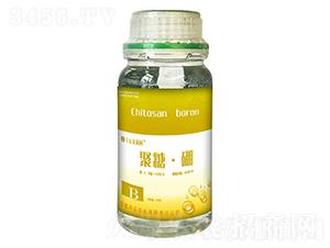 聚糖·硼-豐樂肥業(yè)