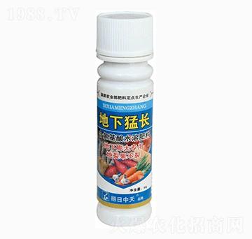 �������(zhu��n)��-�������L(zh��ng)-����ʘI(y��)