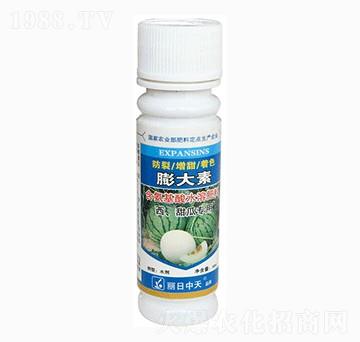 ������ό�(zhu��n)�÷��������-����ʘI(y��)