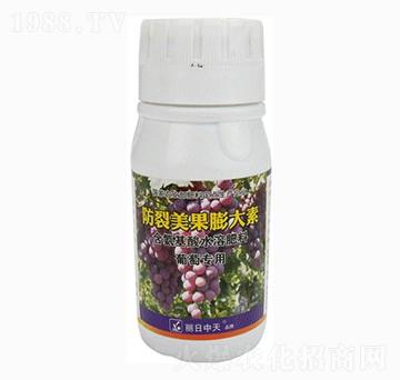 ���ь�(zhu��n)�÷������������-����ʘI(y��)