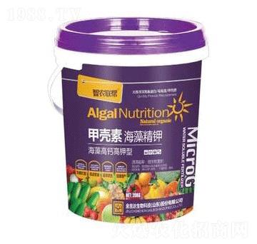 �ך��غ��徫�-���_(d��)