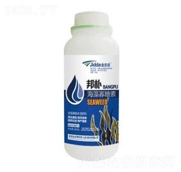 ���������-���_(d��)