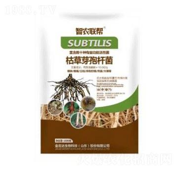 1000g�ݲ�ѿ�ߗU��-���_(d��)