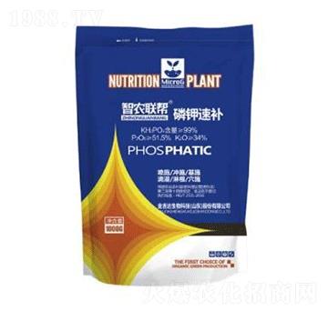 ������a(b��)-���_(d��)