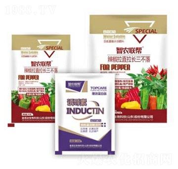 ������ֱ���L(zh��ng)������-���_(d��)