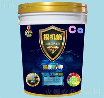 �S�����-���C(j��)�ܣ�Ͱ��-��������