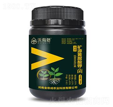 �VԴ�S����⛡���-���Є�-���ճ�