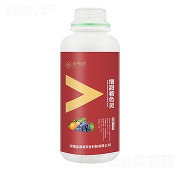 1200g������ɫ�`-���Є�-���ճ�