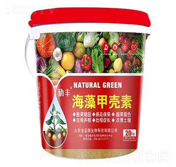 ����ך���-���{(l��n)�D����