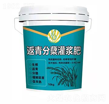 返青分蘗灌漿肥-林平光碳