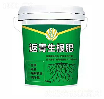 返青生根肥-林平光碳