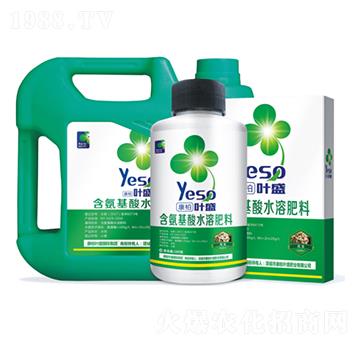 �����󶹌��ú�������ˮ�ܷ���-�~ʢ����